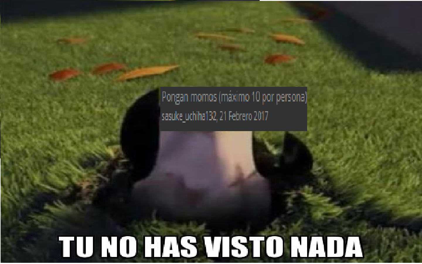 no has visto nada.png