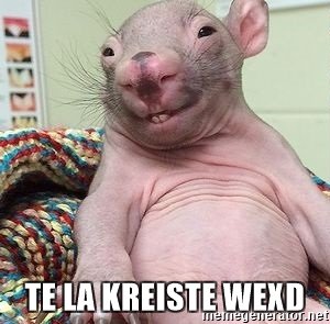 te-la-kreiste-wexd.jpg