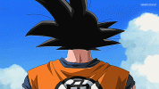 son-goku.gif