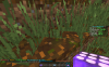 2015-12-02_16.37.47.png