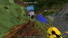 sky items x2.png