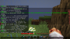 Minecraft 1.15.2 - Multijugador (de terceros) 07_07_2020 15_25_56.png