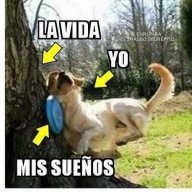 lauhappy