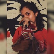 fabisanguino