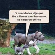 Irvingoo_xD