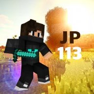 JP113