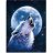 Lobo_Espacial5